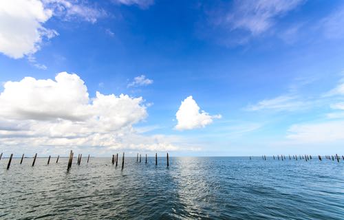 Oyster farms Thailand